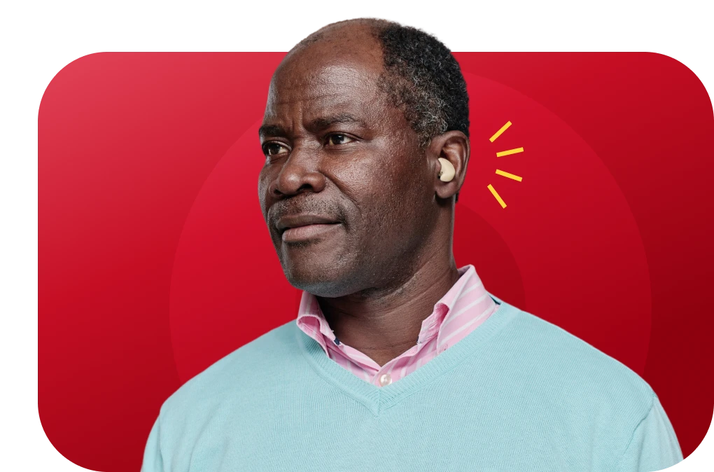 Hearing Aids - Everything About Image